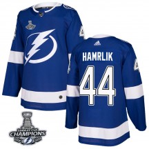 Youth Adidas Tampa Bay Lightning Roman Hamrlik Blue Home 2020 Stanley Cup Champions Jersey - Authentic